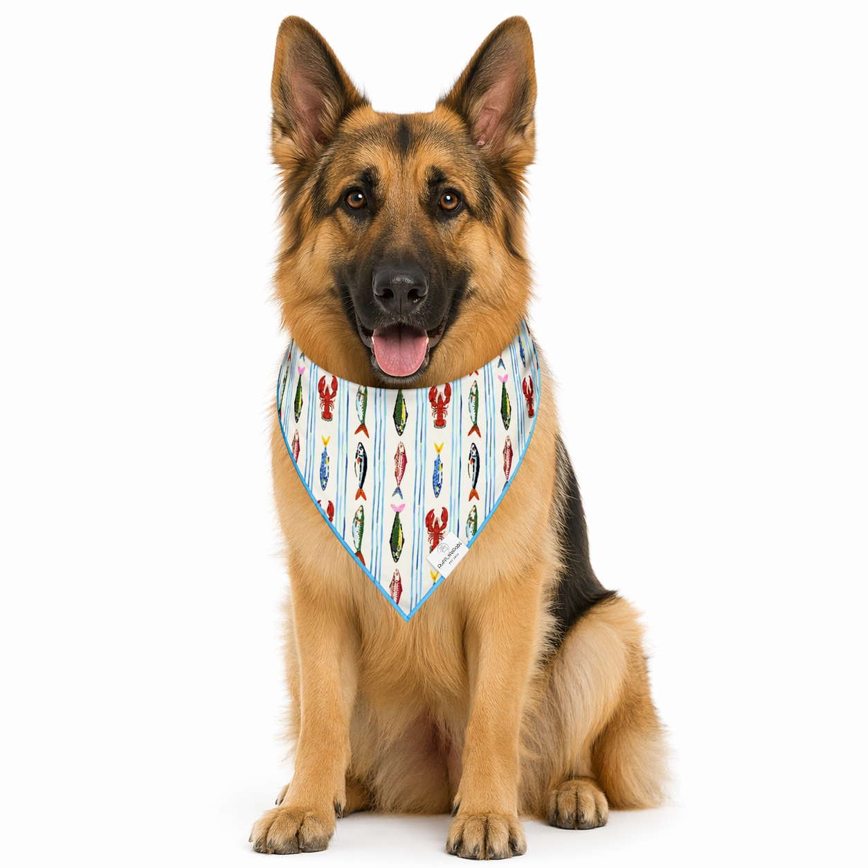 Coastal Fish Striped Dog Bandana: S/M