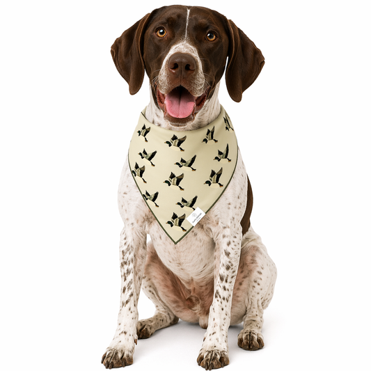 Mallard Duck Dog Bandana: S/M