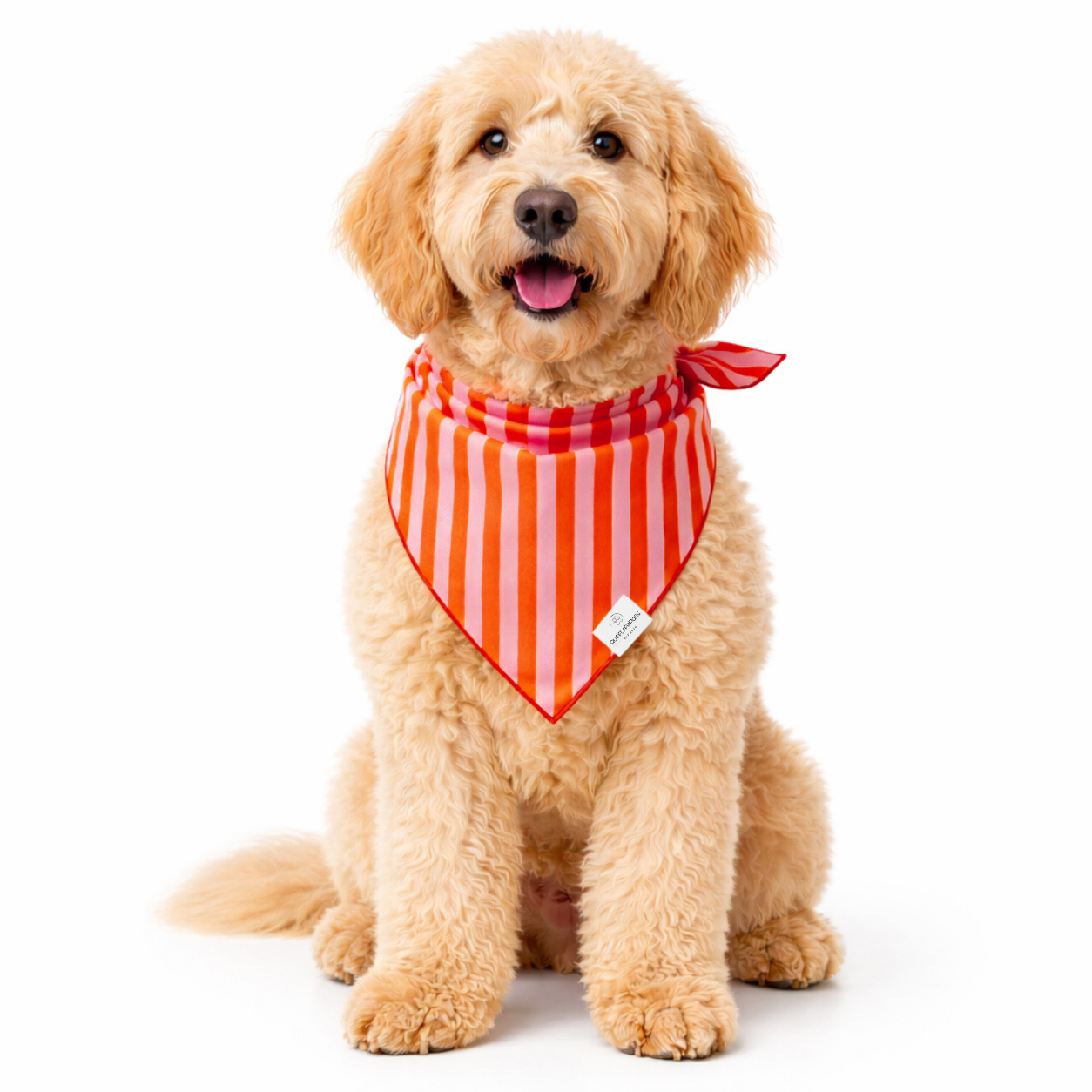 Orange & Pink Stripes Dog Bandana: S/M