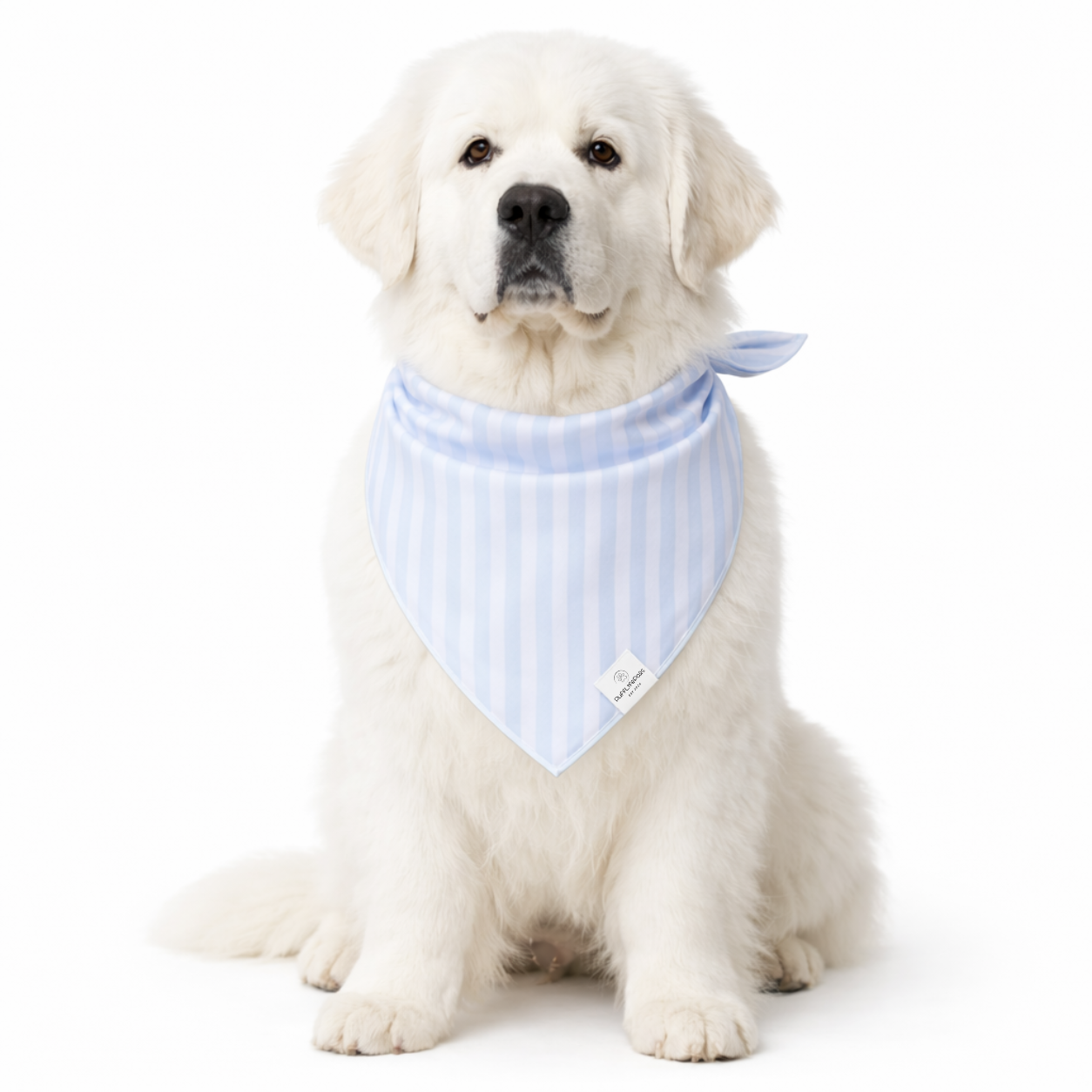 Light Blue Striped Dog Bandana: S/M