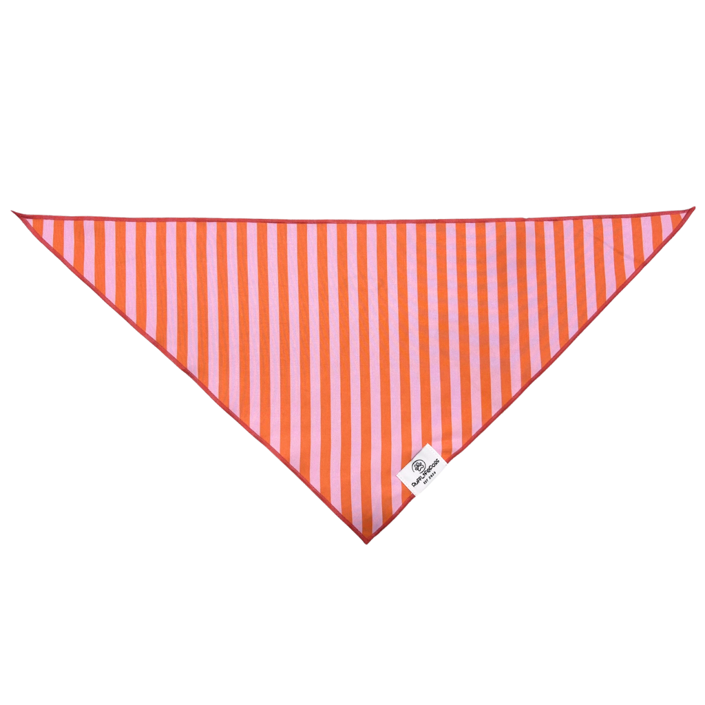 Orange & Pink Stripes Dog Bandana: S/M