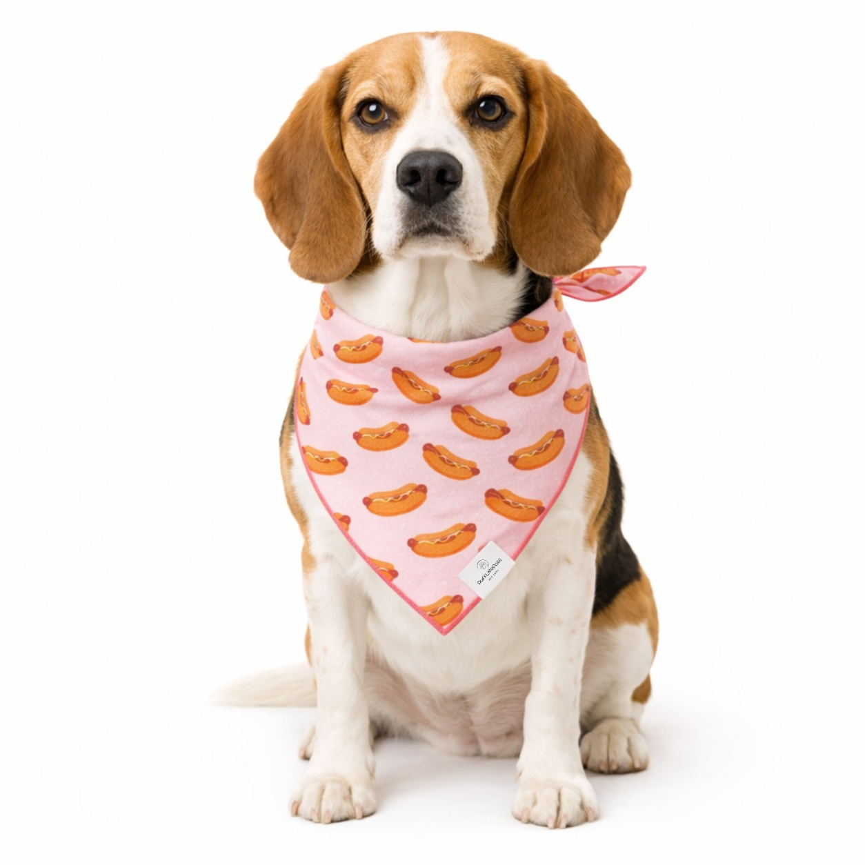 Hot Dog, Dog Bandana: L/XL